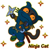 ninja1.jpg